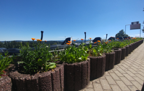 Sommerrodelbahn Großbüchlberg
